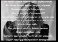 /album/foto%c4%9fraflar%3a-resimli-%c5%9fiirler/a2qb2el8-png1/