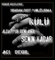 /album/foto%c4%9fraflar%3a-resimli-%c5%9fiirler/a2qs1vi8ph7-jpg1/
