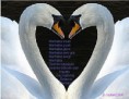 /album/foto%c4%9fraflar%3a-resimli-%c5%9fiirler/a79436ee452e641cde2eb992ab397911-jpg1/