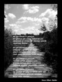 /album/foto%c4%9fraflar%3a-resimli-%c5%9fiirler/gzlyrga0wz7-jpg1/