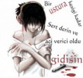 /album/foto%c4%9fraflar%3a-resimli-%c5%9fiirler/iir5lr-jpg1/