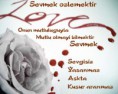 /album/foto%c4%9fraflar%3a-resimli-%c5%9fiirler/love5ocpu2-jpg1/