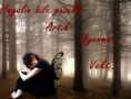 /album/foto%c4%9fraflar%3a-resimli-%c5%9fiirler/sdssfdafsp8-png1/