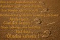 /album/foto%c4%9fraflar%3a-resimli-%c5%9fiirler/sensiznx4mk5-jpg1/