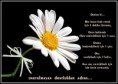 /album/foto%c4%9fraflar%3a-resimli-%c5%9fiirler/www-antoloji-com-384608-319-jpg1/