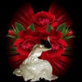 /album/foto%c4%9fraflar%3a-resimli-%c5%9fiirler/www-antoloji-com-627331-972-jpg1/